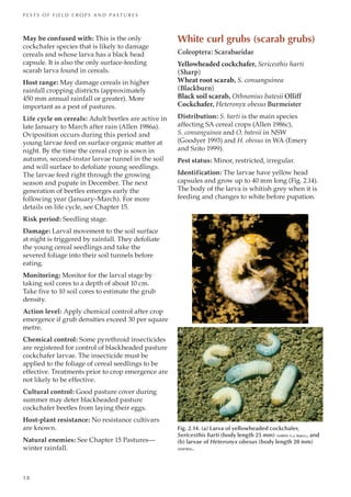 Pests Of Field Crops And Pastures Identification And Control Peter ...
