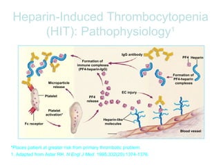 Heparin-Induced Thrombocytopenia (HIT): Pathophysiology 1 *Places patient at greater risk from primary thrombotic problem. 1. Adapted from Aster RH.  N Engl J Med . 1995;332(20):1374-1376. Formation of  PF4-heparin  complexes IgG antibody Formation of  immune complexes (PF4-heparin-IgG) EC injury PF4  release Platelet activation* Microparticle release Fc receptor Platelet Heparin-like molecules Blood vessel PF4 Heparin 