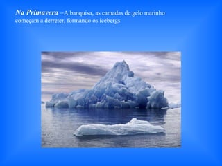 Na Primavera –A banquisa, as camadas de gelo marinho
começam a derreter, formando os icebergs
 