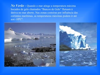 No Verão - Quando o mar atinge a temperatura máxima
bocados de gelo chamados “Bancos de Gelo” flutuam à
deriva no mar aberto. Nas zonas costeiras por influência das
correntes marítimas, as temperaturas máximas podem ir até
aos -10ºCº.
 