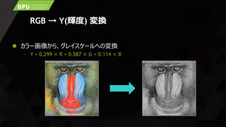 RGB → Y(輝度) 変換
 カラー画像から、グレイスケールへの変換
– Y = 0.299 × R + 0.587 × G + 0.114 × B
 