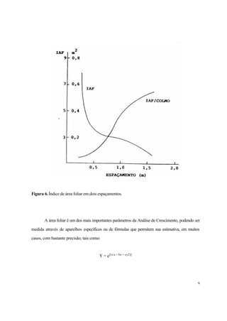 9
Figura 6.Índice de área foliar em dois espaçamentos.
A área foliar é um dos mais importantes parâmetros da Análise de Crescimento, podendo ser
medida através de aparelhos específicos ou de fórmulas que permitem sua estimativa, em muitos
casos, com bastante precisão, tais como:
Y = e[(x/a + bx + cy2)]
 