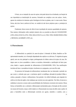 19
O boro, em se tratando de cana-de-açúcar, não pode deixar de ser lembrado, em função da
sua importância na translocação de sacarose, formando um complexo com este açúcar. Assim,
apesar da existência de inúmeras ações fisiológicas do boro na planta, esta é a mais aceita. Dessa
forma, não deve haver carência de boro, no sentido de não haver prejuízos para a produção de
açúcar.
Finalmente, baixos teores de silício levam à produção de menores quantidades de açúcares.
Para maiores informações sobre nutrição mineral, deve-se consultar as obras de CASAGRANDE
(1991); MALAVOLTA (1976; 1982); MALAVOLTA et al. (1964; 1989); MARSCHNER (1986)
e MENGELL & KIRKBY (1987), etc.
4. Florescimento
A inflorescência ou panícula da cana-de-açúcar é chamada de flecha, bandeira ou flor
apresentando tamanho, cor e formação dependendo das espécies ou cultivares. É originária da gema
apical, com um eixo principal ou ráquis, prolongamento do último entre-nó do ápice da cana. Do
ráquis saem os eixos secundários e destes os terciários, diminuindo a ramificação de baixo para
cima, dando o aspecto piramidal da inflorescência (CASAGRANDE, 1991). Nas ramificações
terciárias de base e secundárias do ápice, localizam-se as espiquetas, com uma flor cada.
No processo de formação da inflorescência, incialmente deve ser detectado o período em
que ocorre o estímulo para que o meristema apical se modifique, deixando de produzir folhas e
colmos, passando a formar a inflorescência. Este período é de difíciil definição, pois depende do
cultivar, do clima da região e das mudanças que ocorrem nos anos agrícolas. Tais fatos, levam-nos a
estabelecer somente os meses onde as possibilidades dos fenômenos ocorrerem são maiores. Dessa
forma, no hemisfério sul, o estímulo e diferenciação meristemática para a formação da flor ocorrerá
nos meses de fevereiro, março e abril, dando-se o florescimento nos meses de abril, maio e junho. Já
para o hemisfério norte a diferenciação ocorreria em agosto, setembro e outubro, com a
 