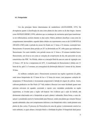 23
4.1. Fotoperíodo
Um dos principais fatores determinantes do metabolismo (ALEXANDER, 1973). Há
divergências quanto à classificação da cana como planta de dias curtos ou de dias longos. Autores
como MANGELSDORF (1958), admitem que as mudanças do meristema apical para transformar-
se em inflorescência, ocorrem durante os dias curtos. Outros, preferem classificar a cana como de
comportamento intermediário, segundo dados obtidos em experimentos como os de CLEMENTS &
AWADA (1965) onde o período do escuro foi fixado em 11 horas e 32 minutos, ocorrendo bom
florescimento. O aumento deste período em 26’ ou diminuindo em 34’, inibe quase que totalmente o
florescimento. Em outro trabalho, com período escuro de 11 horas e 30 minutos também houve
florescimento, sem levar-se em conta as variações do comprimento do dia, não parecendo ser esta
característica das PDC. Na Flórida, obtém-se a iniciação floral da cana em casas de vegetação com
12 horas e 30’ de luz e temperatura de 24o
C. A manifestação do florescimento é obtida com 12
horas de luz, após 2 a 3 semanas, em consequência da diminuição diária de 1 minuto de luz, durante
30 dias.
As melhores condições para o florescimento acontecem nas regiões equatoriais do globo,
onde temos fotoperíodos de 12 horas de luz e 12 horas de escuro, com pequenas variações de
temperatura. O florescimento é inversamente proporcional à latitude de origem do cultivar. Assim,
cultivares produzidos em São Paulo (21o
Sul), tendem a florescer com maior facilidade quanto mais
próxima estiverem do equador, ocorrendo o oposto com variedades produzidas na região
equatoriana, se levadas para a região sub-tropical. Isto evidencia que a ação da latitude, está
diretamente relacionada com o fotoperíodo ao qual a planta é submetida. Dessa forma, a cana-de-
açúcar é considerada sensível à luminosidade para florescer, sendo uma planta que somente floresce
quando submetida a dias com comprimentos inferiores a um fotoperíodo crítico, sendo portanto uma
planta de dias curtos. O processo de florescência da cana-de-açúcar é extremamente sensível ao
meio ambiente, os quais afetam a iniciação floral e a fertilidade do pólen. O fotoperíodo ideal parece
 