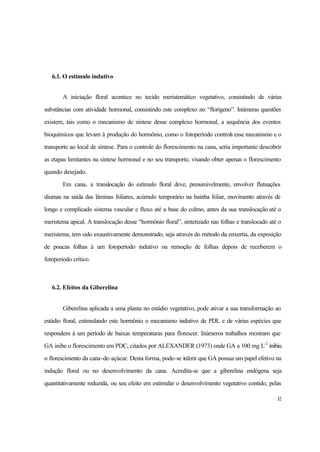 32
6.1. O estímulo indutivo
A iniciação floral acontece no tecido meristemático vegetativo, consistindo de várias
substâncias com atividade hormonal, consistindo este complexo no “florígeno”. Inúmeras questões
existem, tais como o mecanismo de síntese desse complexo hormonal, a sequência dos eventos
bioquímicos que levam à produção do hormônio, como o fotoperíodo controla esse mecanismo e o
transporte ao local de síntese. Para o controle do florescimento na cana, seria importante descobrir
as etapas limitantes na síntese hormonal e no seu transporte, visando obter apenas o florescimento
quando desejado.
Em cana, a translocação do estímulo floral deve, presumivelmente, envolver flutuações
diurnas na saída das lâminas foliares, acúmulo temporário na bainha foliar, movimento através de
longo e complicado sistema vascular e fluxo até a base do colmo, antes da sua translocação até o
meristema apical. A translocação desse “hormônio floral”, sintetizado nas folhas e translocado até o
meristema, tem sido exaustivamente demonstrado, seja através do método da enxertia, da exposição
de poucas folhas à um fotoperíodo indutivo ou remoção de folhas depois de receberem o
fotoperíodo crítico.
6.2. Efeitos da Giberelina
Giberelina aplicada a uma planta no estádio vegetativo, pode ativar a sua transformação ao
estádio floral, estimulando este hormônio o mecanismo indutivo de PDL e de várias espécies que
respondem à um período de baixas temperaturas para florescer. Inúmeros trabalhos mostram que
GA inibe o florescimento em PDC, citados por ALEXANDER (1973) onde GA a 100 mg L-1
inibiu
o florescimento da cana-de-açúcar. Desta forma, pode-se inferir que GA possua um papel efetivo na
indução floral ou no desenvolvimento da cana. Acredita-se que a giberelina endógena seja
quantitativamente reduzida, ou seu efeito em estimular o desenvolvimento vegetativo contido, pelas
 
