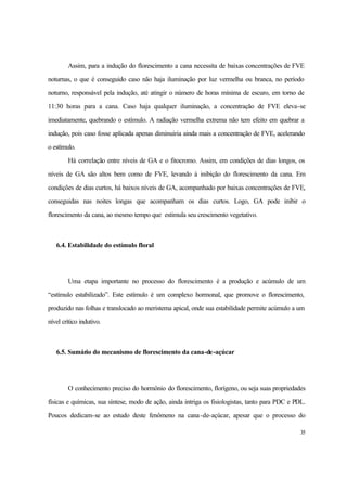 35
Assim, para a indução do florescimento a cana necessita de baixas concentrações de FVE
noturnas, o que é conseguido caso não haja iluminação por luz vermelha ou branca, no período
noturno, responsável pela indução, até atingir o número de horas mínima de escuro, em torno de
11:30 horas para a cana. Caso haja qualquer iluminação, a concentração de FVE eleva-se
imediatamente, quebrando o estímulo. A radiação vermelha extrema não tem efeito em quebrar a
indução, pois caso fosse aplicada apenas diminuiria ainda mais a concentração de FVE, acelerando
o estímulo.
Há correlação entre níveis de GA e o fitocromo. Assim, em condições de dias longos, os
níveis de GA são altos bem como de FVE, levando à inibição do florescimento da cana. Em
condições de dias curtos, há baixos níveis de GA, acompanhado por baixas concentrações de FVE,
conseguidas nas noites longas que acompanham os dias curtos. Logo, GA pode inibir o
florescimento da cana, ao mesmo tempo que estimula seu crescimento vegetativo.
6.4. Estabilidade do estímulo floral
Uma etapa importante no processo do florescimento é a produção e acúmulo de um
“estímulo estabilizado”. Este estímulo é um complexo hormonal, que promove o florescimento,
produzido nas folhas e translocado ao meristema apical, onde sua estabilidade permite acúmulo a um
nível crítico indutivo.
6.5. Sumário do mecanismo de florescimento da cana-de-açúcar
O conhecimento preciso do hormônio do florescimento, florígeno, ou seja suas propriedades
físicas e químicas, sua síntese, modo de ação, ainda intriga os fisiologistas, tanto para PDC e PDL.
Poucos dedicam-se ao estudo deste fenômeno na cana-de-açúcar, apesar que o processo do
 