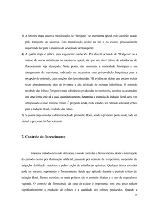 37
3) A terceira etapa envolve translocação do “florígeno” ao meristema apical, pelo caminho usado
pelo transporte de sacarose. Esta translocação ocorre na luz e no escuro, provavelmente
requerendo luz para o máximo de velocidade de transporte;
4) A quarta etapa é crítica, mas vagamente conhecida. Por dias há acúmulo de “florígeno” ou a
síntese de outras substâncias no meristema apical, até que um nível crítico de substâncias de
florescimento seja alcançado. Neste ponto, são essenciais a maturidade fisiológica e um
alongamento do meristema, indicando ser necessária uma pré-condição bioquímica para a
recepção do estímulo, cujas reações são desconhecidas. Há evidências tácitas que podem incluir
taxas abundantemente altas de invertase e alta atividade de enzimas hidrolíticas. O estímulo
recebido das folhas (florígeno) mais substâncias produzidas no meristema, acredita-se, acumulam
em uma forma estável a qual, quantitativamente, determina a extensão da indução floral, uma vez
ultrapassado o nível mínimo crítico. É proposto ainda, neste estádio, um estímulo adicional, crítico
para a indução floral, recebido das raízes.
5) A quinta etapa envolve a diferenciação do primórdio floral, sendo o primeiro ponto onde pode ser
visível o processo do florescimento.
7. Controle do florescimento
Inúmeros métodos tem sido utilizados, visando controlar o florescimento, desde a interrupção
do período escuro por iluminação artificial, passando por controle de temperatura, suspensão da
irrigação, defoliação mecânica e pulverização de substâncias químicas. Qualquer destes métodos
pode ter sucesso, suprimindo o florescimento, desde que aplicado durante o período crítico da
indução floral. Destes métodos, os mais práticos são o controle hídrico e o uso de reguladores
vegetais. O controle da florescência da cana-de-açúcar é importante, pois esta pode reduzir
significativamente a produção de colmos e a qualidade dos colmos produzidos. Quando a
 