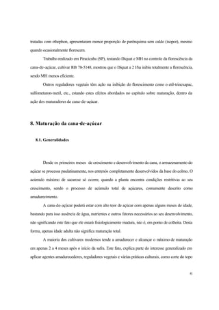 41
tratadas com ethephon, apresentaram menor proporção de parênquima sem caldo (isopor), mesmo
quando ocasionalmente florescem.
Trabalho realizado em Piracicaba (SP), testando Diquat e MH no controle da florescência da
cana-de-açúcar, cultivar RB 78-5148, mostrou que o Diquat a 2 l/ha inibiu totalmente a florescência,
sendo MH menos eficiente.
Outros reguladores vegetais têm ação na inibição do florescimento como o etil-trinexapac,
sulfometuron-metil, etc., estando estes efeitos abordados no capítulo sobre maturação, dentro da
ação dos maturadores de cana-de-açúcar.
8. Maturação da cana-de-açúcar
8.1. Generalidades
Desde os primeiros meses de crescimento e desenvolvimento da cana, o armazenamento do
açúcar se processa paulatinamente, nos entrenós completamente desenvolvidos da base do colmo. O
acúmulo máximo de sacarose só ocorre, quando a planta encontra condições restritivas ao seu
crescimento, sendo o processo de acúmulo total de açúcares, comumente descrito como
amadurecimento.
A cana-de-açúcar poderá estar com alto teor de açúcar com apenas alguns meses de idade,
bastando para isso ausência de água, nutrientes e outros fatores necessários ao seu desenvolvimento,
não sgnificando este fato que ele estará fisiologicamente madura, isto é, em ponto de colheita. Desta
forma, apenas idade adulta não significa maturação total.
A maioria dos cultivares modernos tende a amadurecer e alcançar o máximo de maturação
em apenas 2 a 4 meses após o início da safra. Este fato, explica parte do interesse generalizado em
aplicar agentes amadurecedores, reguladores vegetais e várias práticas culturais, como corte do topo
 