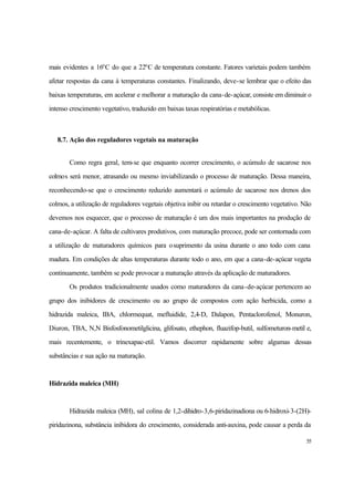 55
mais evidentes a 16o
C do que a 22o
C de temperatura constante. Fatores varietais podem também
afetar respostas da cana à temperaturas constantes. Finalizando, deve-se lembrar que o efeito das
baixas temperaturas, em acelerar e melhorar a maturação da cana-de-açúcar, consiste em diminuir o
intenso crescimento vegetativo, traduzido em baixas taxas respiratórias e metabólicas.
8.7. Ação dos reguladores vegetais na maturação
Como regra geral, tem-se que enquanto ocorrer crescimento, o acúmulo de sacarose nos
colmos será menor, atrasando ou mesmo inviabilizando o processo de maturação. Dessa maneira,
reconhecendo-se que o crescimento reduzido aumentará o acúmulo de sacarose nos drenos dos
colmos, a utilização de reguladores vegetais objetiva inibir ou retardar o crescimento vegetativo. Não
devemos nos esquecer, que o processo de maturação é um dos mais importantes na produção de
cana-de-açúcar. A falta de cultivares produtivos, com maturação precoce, pode ser contornada com
a utilização de maturadores químicos para osuprimento da usina durante o ano todo com cana
madura. Em condições de altas temperaturas durante todo o ano, em que a cana-de-açúcar vegeta
continuamente, também se pode provocar a maturação através da aplicação de maturadores.
Os produtos tradicionalmente usados como maturadores da cana-de-açúcar pertencem ao
grupo dos inibidores de crescimento ou ao grupo de compostos com ação herbicida, como a
hidrazida maleica, IBA, chlormequat, mefluidide, 2,4-D, Dalapon, Pentaclorofenol, Monuron,
Diuron, TBA, N,N Bisfosfonometilglicina, glifosato, ethephon, fluazifop-butil, sulfometuron-metil e,
mais recentemente, o trinexapac-etil. Vamos discorrer rapidamente sobre algumas dessas
substâncias e sua ação na maturação.
Hidrazida maleica (MH)
Hidrazida maleica (MH), sal colina de 1,2-dihidro-3,6-piridazinadiona ou 6-hidroxi-3-(2H)-
piridazinona, substância inibidora do crescimento, considerada anti-auxina, pode causar a perda da
 