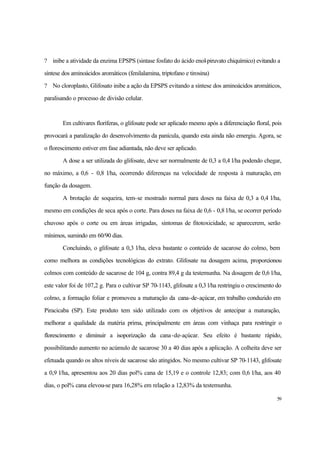 59
? inibe a atividade da enzima EPSPS (sintase fosfato do ácido enol-piruvato chiquímico) evitando a
síntese dos aminoácidos aromáticos (fenilalamina, triptofano e tirosina)
? No cloroplasto, Glifosato inibe a ação da EPSPS evitando a síntese dos aminoácidos aromáticos,
paralisando o processo de divisão celular.
Em cultivares floríferas, o glifosate pode ser aplicado mesmo após a diferenciação floral, pois
provocará a paralização do desenvolvimento da panícula, quando esta ainda não emergiu. Agora, se
o florescimento estiver em fase adiantada, não deve ser aplicado.
A dose a ser utilizada do glifosate, deve ser normalmente de 0,3 a 0,4 l/ha podendo chegar,
no máximo, a 0,6 - 0,8 l/ha, ocorrendo diferenças na velocidade de resposta à maturação, em
função da dosagem.
A brotação de soqueira, tem-se mostrado normal para doses na faixa de 0,3 a 0,4 l/ha,
mesmo em condições de seca após o corte. Para doses na faixa de 0,6 - 0,8 l/ha, se ocorrer período
chuvoso após o corte ou em áreas irrigadas, sintomas de fitotoxicidade, se aparecerem, serão
mínimos, sumindo em 60/90 dias.
Concluindo, o glifosate a 0,3 l/ha, eleva bastante o conteúdo de sacarose do colmo, bem
como melhora as condições tecnológicas do extrato. Glifosate na dosagem acima, proporcionou
colmos com conteúdo de sacarose de 104 g, contra 89,4 g da testemunha. Na dosagem de 0,6 l/ha,
este valor foi de 107,2 g. Para o cultivar SP 70-1143, glifosate a 0,3 l/ha restringiu o crescimento do
colmo, a formação foliar e promoveu a maturação da cana-de-açúcar, em trabalho conduzido em
Piracicaba (SP). Este produto tem sido utilizado com os objetivos de antecipar a maturação,
melhorar a qualidade da matéria prima, principalmente em áreas com vinhaça para restringir o
florescimento e diminuir a isoporização da cana-de-açúcar. Seu efeito é bastante rápido,
possibilitando aumento no acúmulo de sacarose 30 a 40 dias após a aplicação. A colheita deve ser
efetuada quando os altos níveis de sacarose são atingidos. No mesmo cultivar SP 70-1143, glifosate
a 0,9 l/ha, apresentou aos 20 dias pol% cana de 15,19 e o controle 12,83; com 0,6 l/ha, aos 40
dias, o pol% cana elevou-se para 16,28% em relação a 12,83% da testemunha.
 