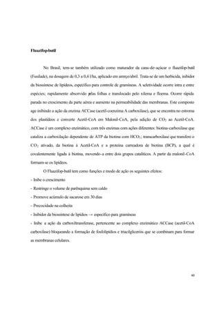 60
Fluazifop-butil
No Brasil, tem-se também utilizado como maturador da cana-de-açúcar o fluazifop-butil
(Fusilade), na dosagem de 0,3 a 0,4 l/ha, aplicado em amrço/abril. Trata-se de um herbicida, inibidor
da biossíntese de lipídeos, específico para controle de gramíneas. A seletividade ocorre intra e entre
espécies; rapidamente absorvido pelas folhas e translocado pelo xilema e floema. Ocorre rápida
parada no crescimento da parte aérea e aumento na permeabilidade das membranas. Este composto
age inibindo a ação da enzima ACCase (acetil-coenzima A carboxilase), que se encontra no estroma
dos plastídeos e converte Acetil-CoA em Malonil-CoA, pela adição de CO2 ao Acetil-CoA.
ACCase é um complexo enzimático, com três enzimas com ações diferentes: biotina-carboxilase que
cataliza a carboxilação dependente de ATP da biotina com HCO3; transcarboxilase que transfere o
CO2 ativado, da biotina à Acetil-CoA e a proteína carreadora de biotina (BCP), a qual é
covalentemente ligada à biotina, movendo-a entre dois grupos catalíticos. A partir da malonil-CoA
formam-se os lipídeos.
O Fluazifop-butil tem como funções e modo de ação os seguintes efeitos:
- Inibe o crescimento
- Restringe o volume de parênquima sem caldo
- Promove acúmulo de sacarose em 30 dias
- Precocidade na colheita
- Inibidor da biossíntese de lipídios → específico para gramíneas
- Inibe a ação da carboxiltransferase, pertencente ao complexo enzimático ACCase (acetil-CoA
carboxilase) bloqueando a formação de fosfolipídios e triacilgliceróis que se combinam para formar
as membranas celulares.
 