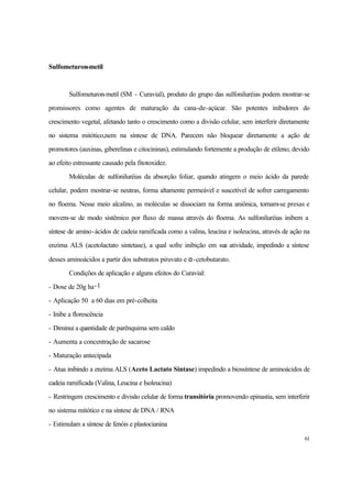 61
Sulfometuron-metil
Sulfometuron-metil (SM - Curavial), produto do grupo das sulfoniluréias podem mostrar-se
promissores como agentes de maturação da cana-de-açúcar. São potentes inibidores do
crescimento vegetal, afetando tanto o crescimento como a divisão celular, sem interferir diretamente
no sistema mitótico,nem na síntese de DNA. Parecem não bloquear diretamente a ação de
promotores (auxinas, giberelinas e citocininas), estimulando fortemente a produção de etileno, devido
ao efeito estressante causado pela fitotoxidez.
Moléculas de sulfoniluréias da absorção foliar, quando atingem o meio ácido da parede
celular, podem mostrar-se neutras, forma altamente permeável e suscetível de sofrer carregamento
no floema. Nesse meio alcalino, as moléculas se dissociam na forma aniônica, tornam-se presas e
movem-se de modo sistêmico por fluxo de massa através do floema. As sulfoniluréias inibem a
síntese de amino-ácidos de cadeia ramificada como a valina, leucina e isoleucina, através de ação na
enzima ALS (acetolactato sintetase), a qual sofre inibição em sua atividade, impedindo a síntese
desses aminoácidos a partir dos substratos piruvato e α-cetobutarato.
Condições de aplicação e alguns efeitos do Curavial:
- Dose de 20g ha-1
- Aplicação 50 a 60 dias em pré-colheita
- Inibe a florescência
- Diminui a quantidade de parênquima sem caldo
- Aumenta a concentração de sacarose
- Maturação antecipada
- Atua inibindo a enzima ALS (Aceto Lactato Sintase) impedindo a biossíntese de aminoácidos de
cadeia ramificada (Valina, Leucina e Isoleucina)
- Restringem crescimento e divisão celular de forma transitória promovendo epinastia, sem interferir
no sistema mitótico e na síntese de DNA / RNA
- Estimulam a síntese de fenóis e plastocianina
 