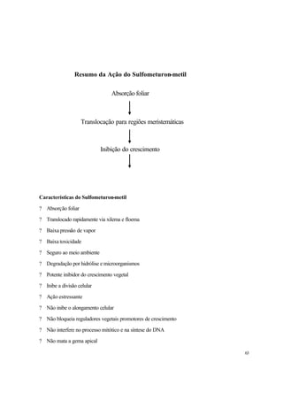 63
Características do Sulfometuron-metil
? Absorção foliar
? Translocado rapidamente via xilema e floema
? Baixa pressão de vapor
? Baixa toxicidade
? Seguro ao meio ambiente
? Degradação por hidrólise e microorganismos
? Potente inibidor do crescimento vegetal
? Inibe a divisão celular
? Ação estressante
? Não inibe o alongamento celular
? Não bloqueia reguladores vegetais promotores de crescimento
? Não interfere no processo mitótico e na síntese do DNA
? Não mata a gema apical
Resumo da Ação do Sulfometuron-metil
Absorção foliar
Translocação para regiões meristemáticas
Inibição do crescimento
 