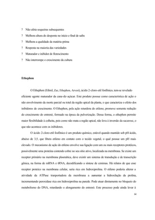64
? Não afeta soqueiras subsequentes
? Melhora altura do desponte no início e final de safra
? Melhora a qualidade da matéria-prima
? Resposta na maioria das variedades
? Maturador e inibidor de florescimento
? Não interrompe o crescimento da cultura
Ethephon
O Ethephon (Ethrel, Zaz, Ethephon, Arvest), ácido 2-cloro-etil fosfônico, tem-se revelado
eficiente agente maturador da cana-de-açúcar. Este produto possue como característica de ação o
não envolvimento da morte parcial ou total da região apical da planta, o que caracteriza o efeito dos
inibidores de crescimento. O Ethephon, pela ação retardora do etileno, promove somente redução
do crescimento do entrenó, formado na época da pulverização. Dessa forma, o ethephon permite
maior flexibilidade à colheita, pois como não mata a região apical, não leva à inversão da sacarose, o
que não acontece com os inibidores.
O ácido 2-cloro-etil fosfônico é um produto químico, estável quando mantido sob pH ácido,
abaixo de 3,5, que libera etileno em contato com o tecido vegetal, o qual possue um pH mais
elevado. O mecanismo de ação do etileno envolve sua ligação com um ou mais receptores protéicos,
possivelmente uma proteína contendo cobre no seu sítio ativo, localizada na membrana. Se existe um
receptor primário na membrana plasmática, deve existir um sistema de transdução e de transcrição
gênica, na forma de mRNA e tRNA, decodificando a síntese de eznimas. Há relatos de que esse
receptor proteíco na membrana celular, seria rico em hidroxiprolina. O etileno poderia alterar a
atividade da ATPase tranportadora da membrana a aumentar a hidroxilação da prolina,
incrementando peroxidase rica em hidroxiprolina na parede. Pode atuar diretamente no bloqueio do
metabolismo do DNA, retardando o alongamento do entrenó. Este processo pode ainda levar à
 