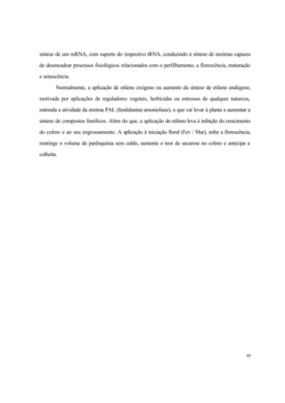 65
síntese de um mRNA, com suporte do respectivo tRNA, conduzindo à síntese de enzimas capazes
de desencadear processos fisiológicos relacionados com o perfilhamento, a florescência, maturação
e senescência.
Normalmente, a aplicação de etileno exógeno ou aumento da síntese de etileno endógeno,
motivada por aplicações de reguladores vegetais, herbicidas ou estresses de qualquer natureza,
estimula a atividade da enzima PAL (fenilalanina amonioliase), o que vai levar à planta a aumentar a
síntese de compostos fenólicos. Além do que, a aplicação do etileno leva à inibição do crescimento
do colmo e ao seu engrossamento. A aplicação à iniciação floral (Fev / Mar), inibe a florescência,
restringe o volume de parênquima sem caldo, aumenta o teor de sacarose no colmo e antecipa a
colheita.
 