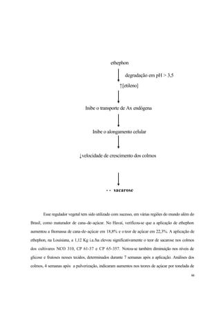 66
Esse regulador vegetal tem sido utilizado com sucesso, em várias regiões do mundo além do
Brasil, como maturador de cana-de-açúcar. No Havaí, verificou-se que a aplicação de ethephon
aumentou a fitomassa de cana-de-açúcar em 18,8% e oteor de açúcar em 22,3%. A aplicação de
ethephon, na Louisiana, a 1,12 Kg i.a./ha elevou significativamente o teor de sacarose nos colmos
dos cultivares NCO 310, CP 61-37 e CP 65-357. Notou-se também diminuição nos níveis de
glicose e frutoses nesses tecidos, determinados durante 7 semanas após a aplicação. Análises dos
colmos, 4 semanas após a pulverização, indicaram aumentos nos teores de açúcar por tonelada de
ethephon
degradação em pH > 3,5
↑[etileno]
Inibe o transporte de Ax endógena
Inibe o alongamento celular
↓velocidade de crescimento dos colmos
↑↑ sacarose
 