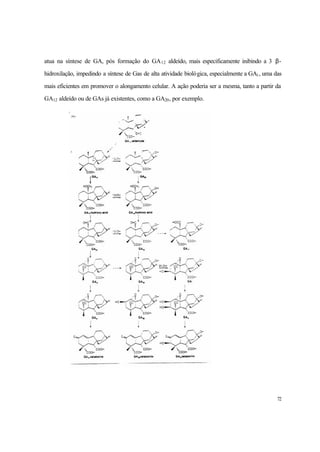 72
atua na síntese de GA, pós formação do GA12 aldeído, mais especificamente inibindo a 3 β-
hidroxilação, impedindo a síntese de Gas de alta atividade biológica, especialmente a GA1, uma das
mais eficientes em promover o alongamento celular. A ação poderia ser a mesma, tanto a partir da
GA12 aldeído ou de GAs já existentes, como a GA20, por exemplo.
 