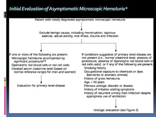 InitialEvaluationofAsymptomaticMicroscopicHematuria*
 