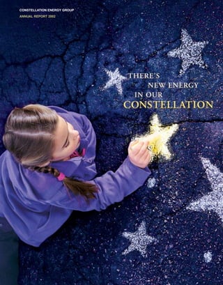 CONSTELLATION ENERGY GROUP
ANNUAL REPORT 2002
 
