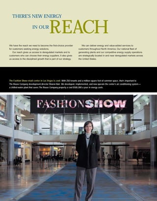 constellation energy 2002 Annual Report 