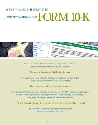 constellation energy 2002 Annual Report 