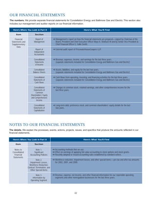 constellation energy 2002 Annual Report 