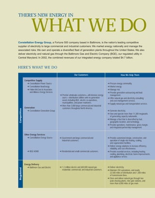 constellation energy 2002 Annual Report 