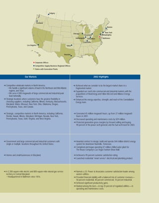 constellation energy 2002 Annual Report 