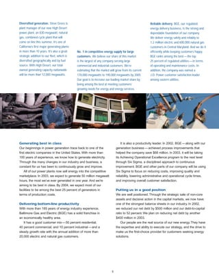 constellation energy 2002 Annual Report 