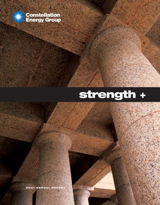 strength +




2001 ANNUAL REPORT
 