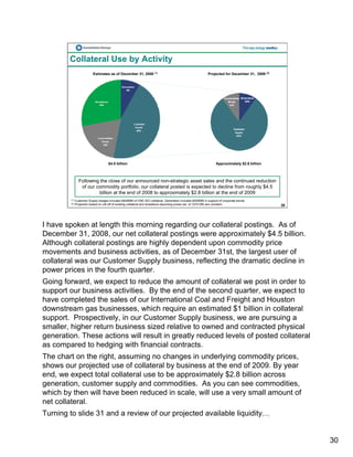 constellation energy 2008 Fourth Quarter Supporting Materials