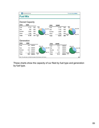 constellation energy 2008 Fourth Quarter Supporting Materials