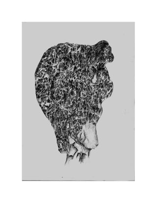 ali rahimirad drawing - mansolism