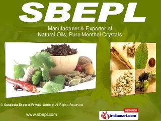 Manufacturer & Exporter of
                         Natural Oils, Pure Menthol Crystals




© Surajbala Exports Private Limited, All Rights Reserved


                 www.sbepl.com
 