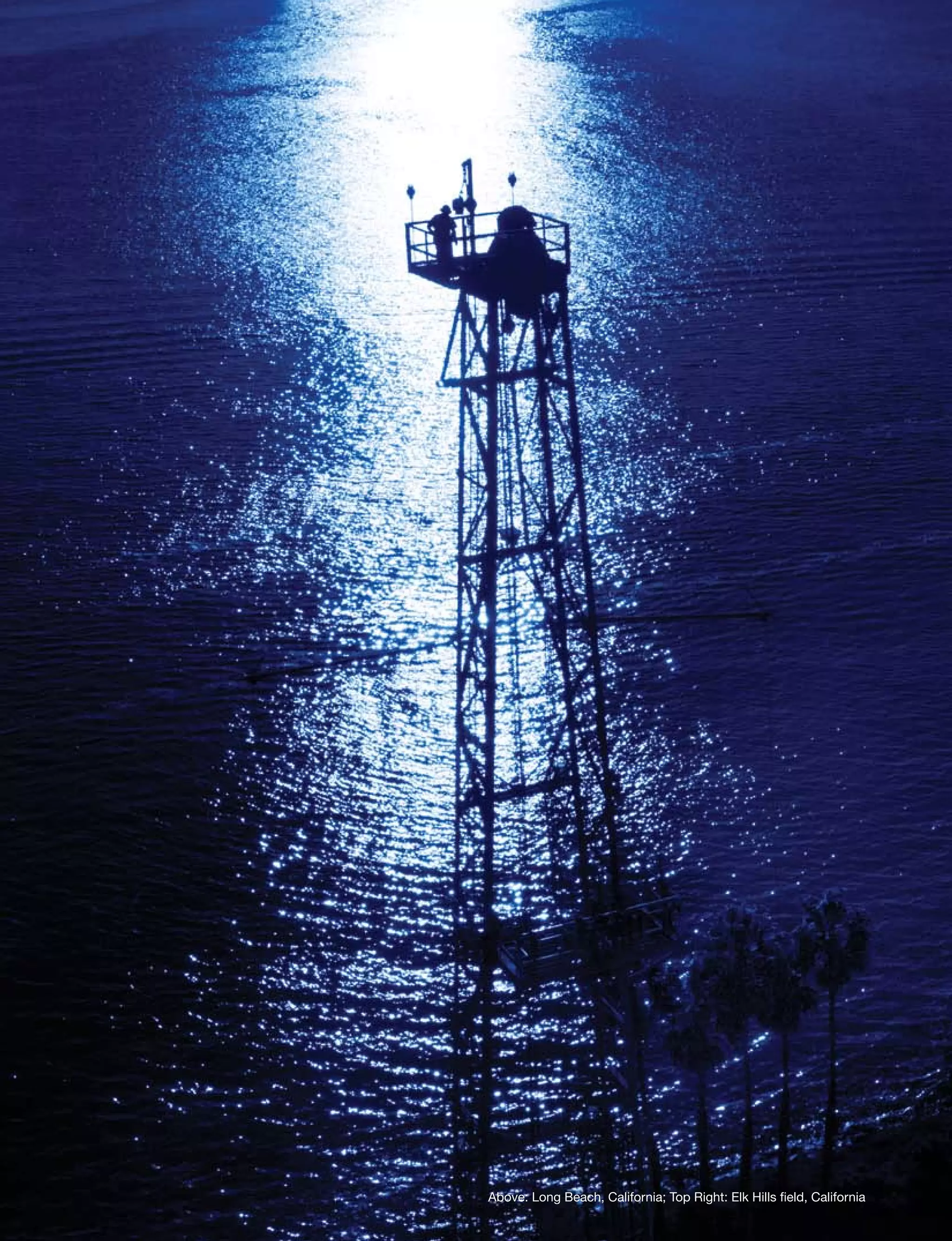 occidental petroleum 2005 Annual Report