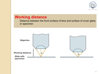 14
Working distance
Distance between the front surface of lens and surface of cover glass
or specimen
 