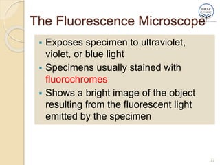 The Fluorescence Microscope
 Exposes specimen to ultraviolet,
violet, or blue light
 Specimens usually stained with
fluorochromes
 Shows a bright image of the object
resulting from the fluorescent light
emitted by the specimen
22
 
