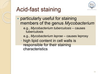 Acid-fast staining
 particularly useful for staining
members of the genus Mycobacterium
e.g., Mycobacterium tuberculosis – causes
tuberculosis
e.g., Mycobacterium leprae – causes leprosy
◦ high lipid content in cell walls is
responsible for their staining
characteristics
33
 