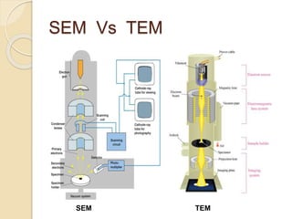 SEM Vs TEM
SEM TEM
 