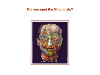 Did you spot the 54 animals?
 