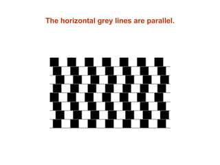 The horizontal grey lines are parallel.
 
