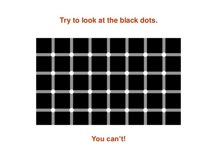 1073_optical illusions.pdf