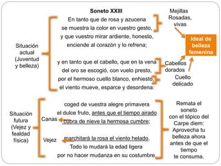 Soneto XXIII
En tanto que de rosa y azucena
se muestra la color en vuestro gesto,
y que vuestro mirar ardiente, honesto,
enciende al corazón y lo refrena;
y en tanto que el cabello, que en la vena
del oro se escogió, con vuelo presto,
por el hermoso cuello blanco, enhiesto,
el viento mueve, esparce y desordena:
coged de vuestra alegre primavera
el dulce fruto, antes que el tiempo airado
cubra de nieve la hermosa cumbre;
marchitará la rosa el viento helado.
Todo lo mudará la edad ligera
por no hacer mudanza en su costumbre.
Cabellos
dorados
Cuello
delicado
Mejillas
Rosadas,
vivas
Remata el
soneto
con el tópico del
Carpe diem:
Aprovecha tu
belleza ahora
antes de que el
tiempo
te consuma.
Ideal de
belleza
femenina
Canas
Vejez
Situación
actual
(Juventud
y belleza)
Situación
futura
(Vejez y
fealdad
física)
 
