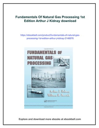 Fundamentals of Natural Gas Processing 【公式通販】