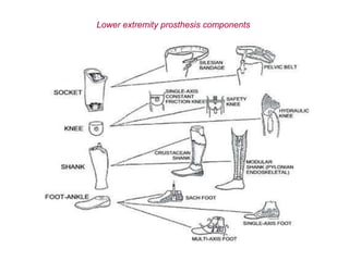 Lower extremity prosthesis components
 