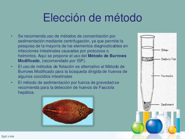 Que dar al niño para la profiláctica de las lombrices de 9 años