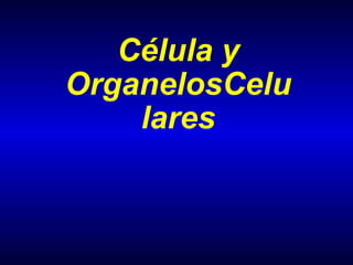 Célula y OrganelosCelulares 