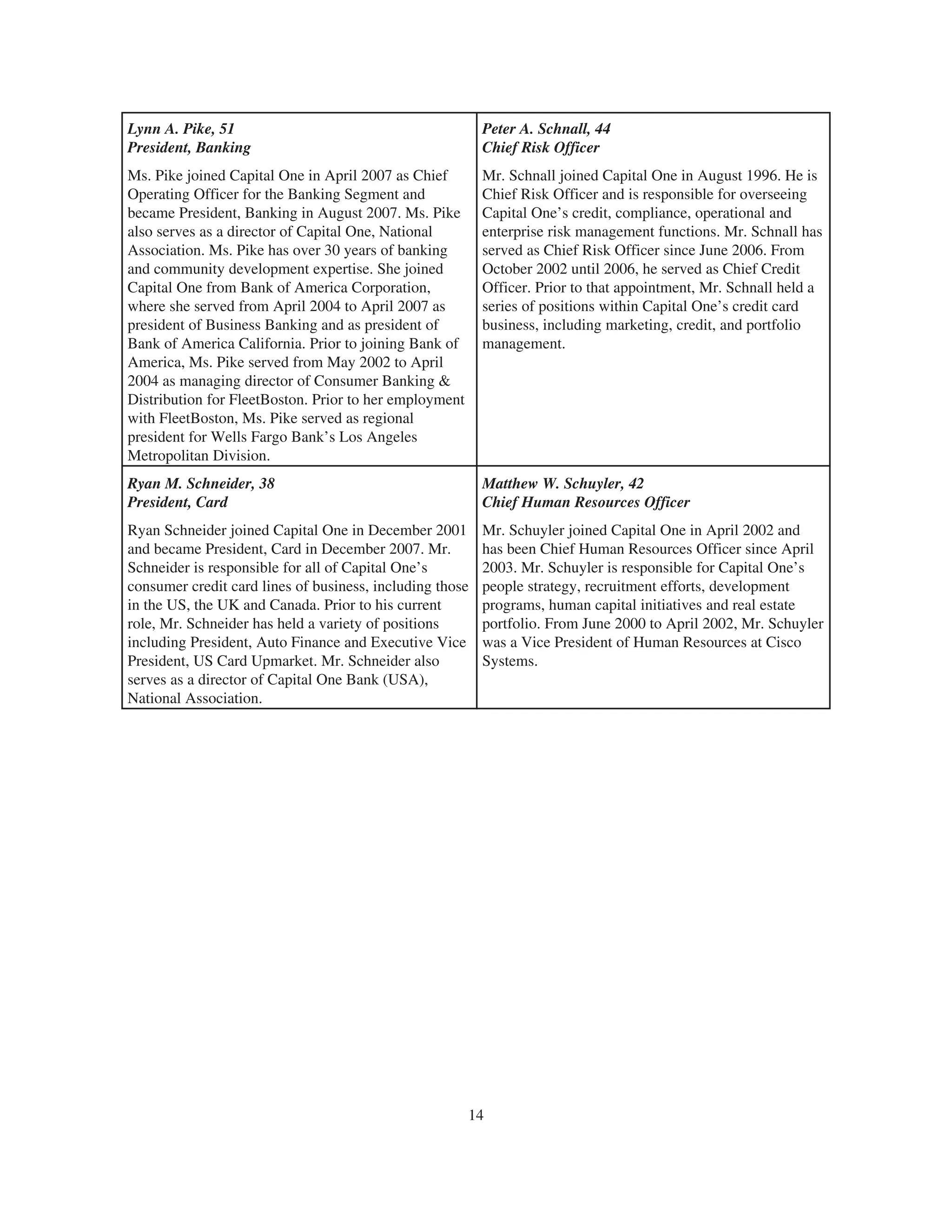 capital one 2008 Proxy Statement