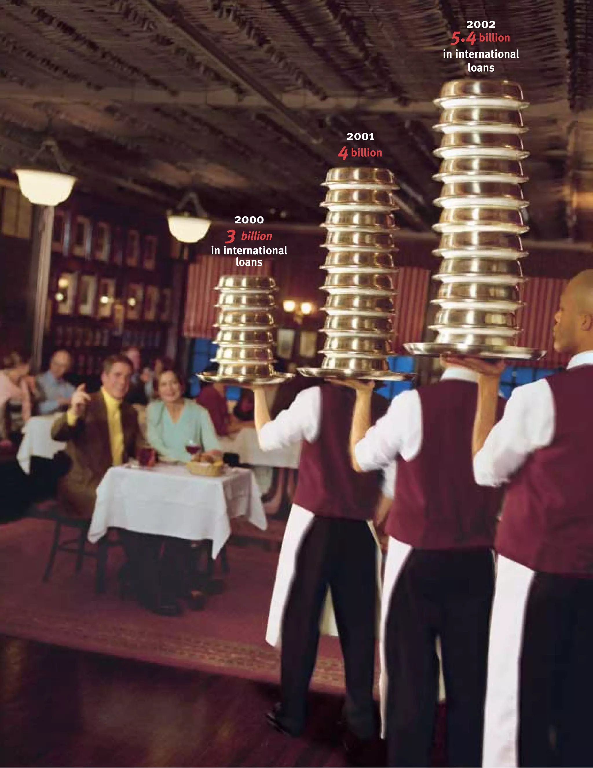 capital one  Annual Report2002