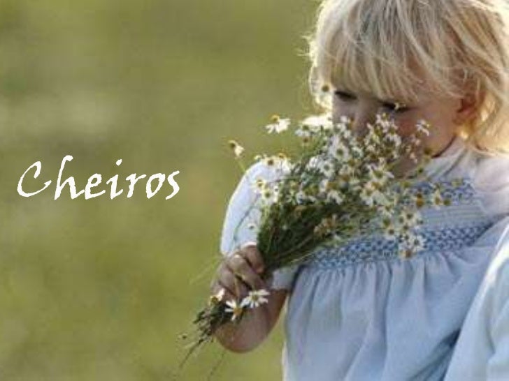 Cheiros<br />